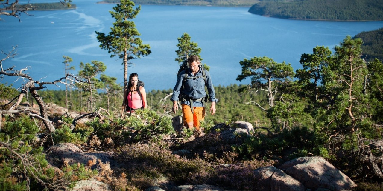 Hiking adventures in Swedish Lapland