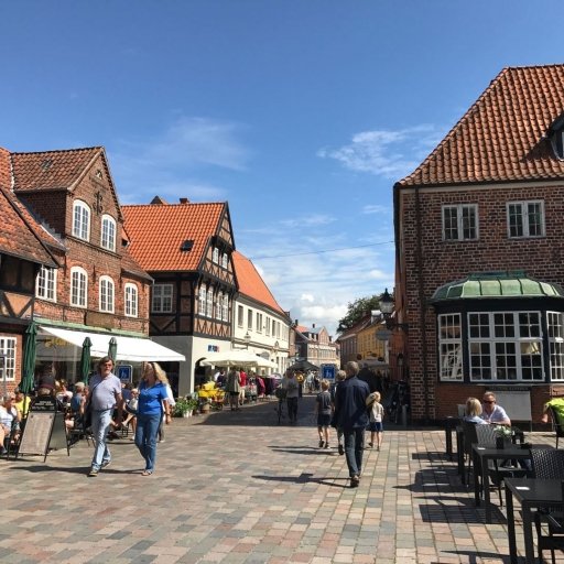 Ribe - the Old Viking Town